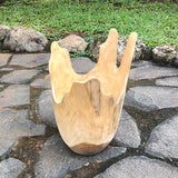 Exotic Driftwood Bowl