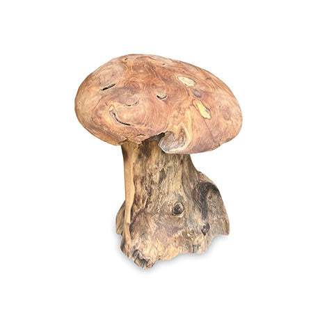 Root Mushroom medium