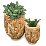 Teak Root Garden Planter Pots set of 2