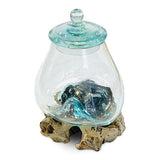 Root with Glass Jar