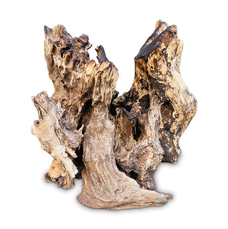 Root Driftwood Sculpture for Vivariums and Terrariums