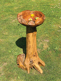 Root Bird Bath