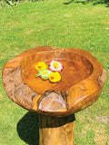 Root Bird Bath