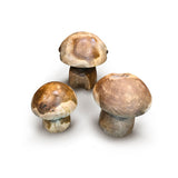 Root Mushrooms set of 3