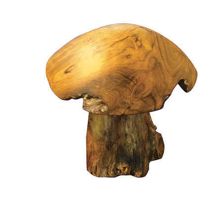 Root Mushroom medium