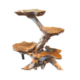 Root Tree Display Stand