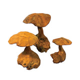 Root Wild Mushrooms - set of 3