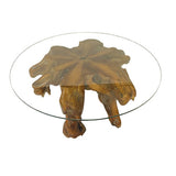 Root Round Spider Coffee Table Medium with 90cm glass