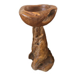 Root Bird Bath