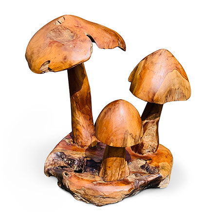 Root Gili Mini Mushroom Cluster