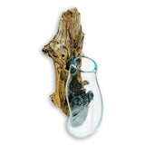 Root with Glass Bowl Wall Hanging