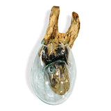 Root with Glass Bowl Wall Hanging