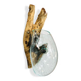 Root with Glass Bowl Wall Hanging