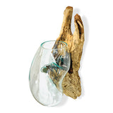 Root with Glass Bowl Wall Hanging