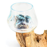 Root with Double Glass Bowl mini (tall & low)