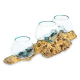 Low Root with Triple Glass Bowl large