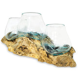 Low Root with Triple Glass Bowl large