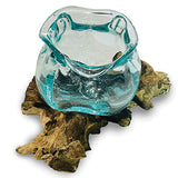 Root with Molten Glass Ashtray