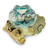 Root with Molten Glass Ashtray