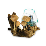 Root with Mushrooms and Glass Bowl small