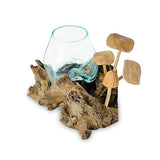 Root with Mushrooms and Glass Bowl small