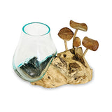 Root with Mushrooms and Glass Bowl small