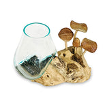 Root with Mushrooms and Glass Bowl small