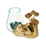 Root with Mushrooms and Glass Bowl small