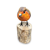 Robin Red Breast