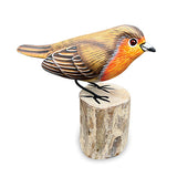 Robin Red Breast