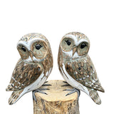 Double Owl