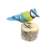 Blue Tit