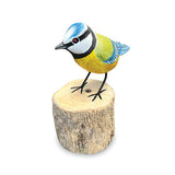 Blue Tit