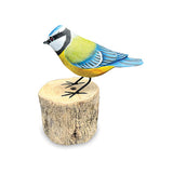 Blue Tit