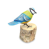 Blue Tit