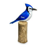 Blue Jay