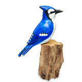 Blue Jay