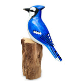 Blue Jay