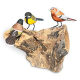 3 Hand Carved, Hand Painted Birds on Driftwood