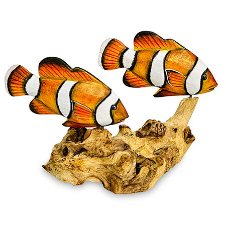 2 Nemo Clownfish on Driftwood