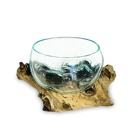 Root with Glass Bowl tiny