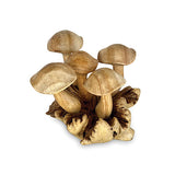 5 Wavy Cap Mushrooms