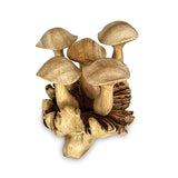 5 Wavy Cap Mushrooms