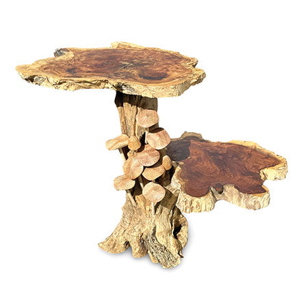 Driftwood Mushroom Colony Lamp Table with 9 Mushrooms 30cm