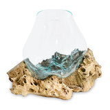 Root with Glass Bowl extra large