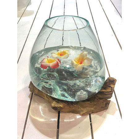 Root with Glass Bowl extra large Driftwood Living UK