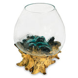 Root with glass bowl extra extra large