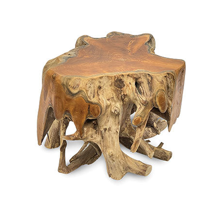 Root Round Spider Coffee Table small