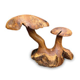 Root Double Wild Mushroom