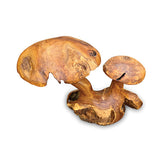 Root Double Wild Mushroom